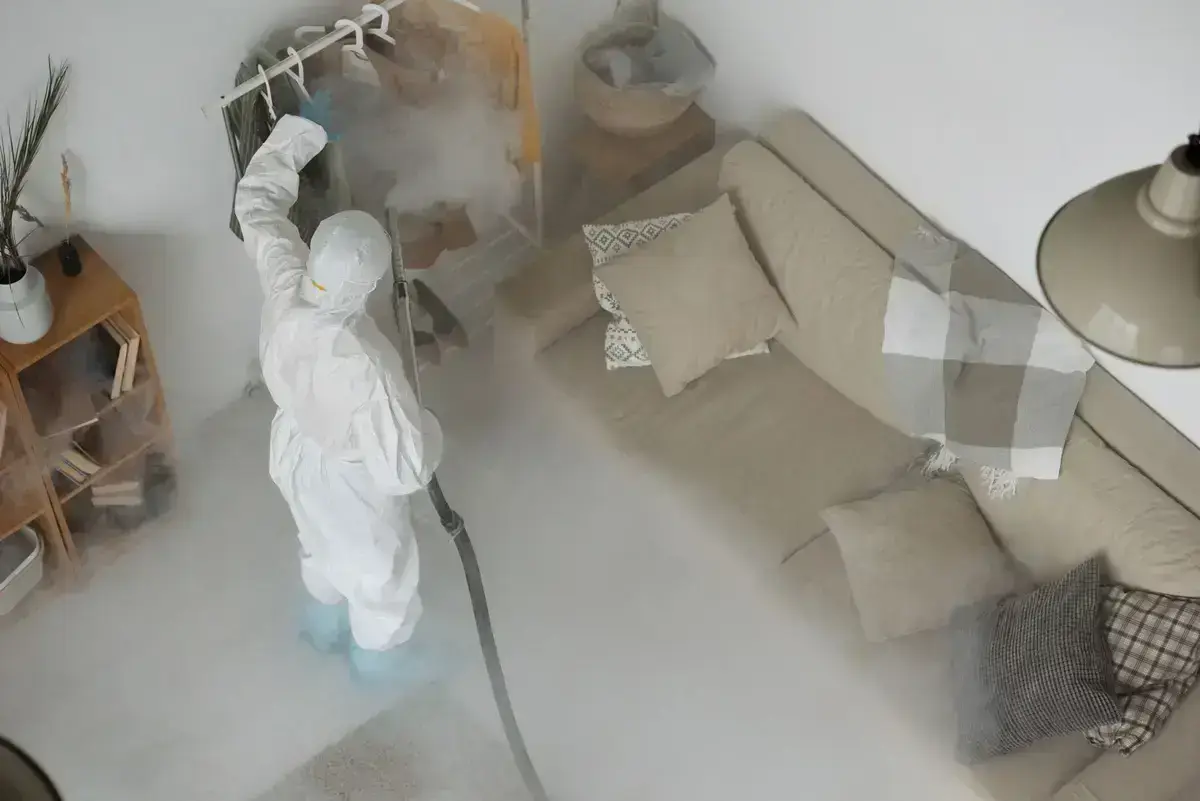 Pest-control technician applying a targeted indoor treatment