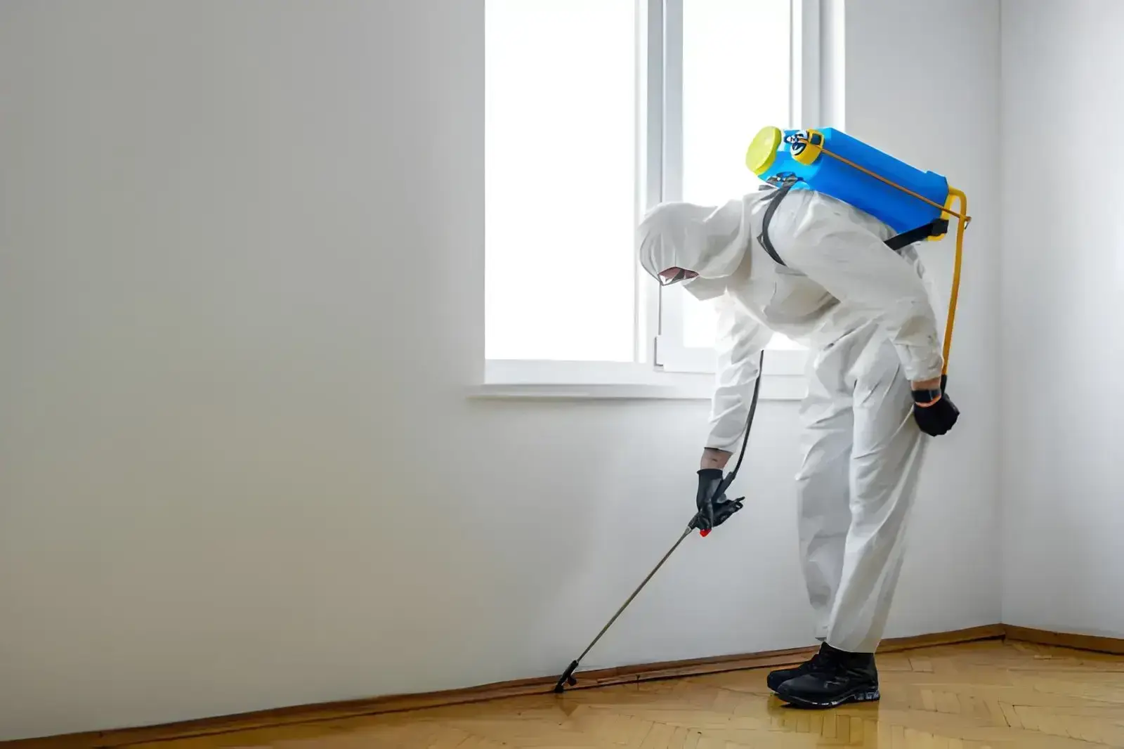 Termite Treatment