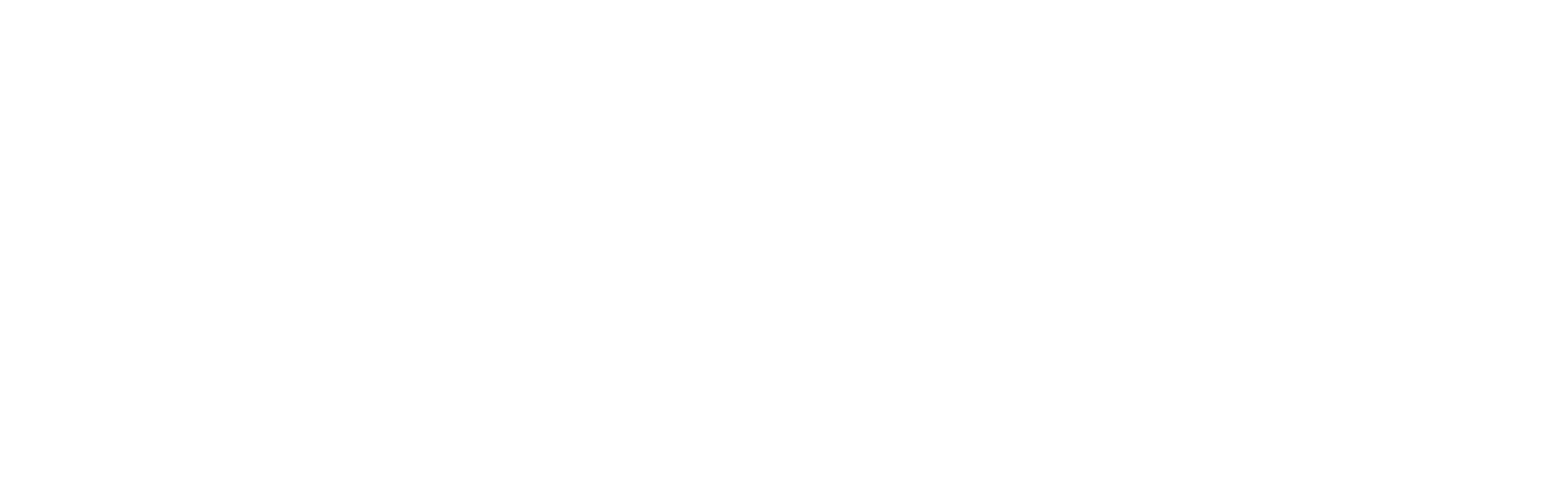 AAS Logo